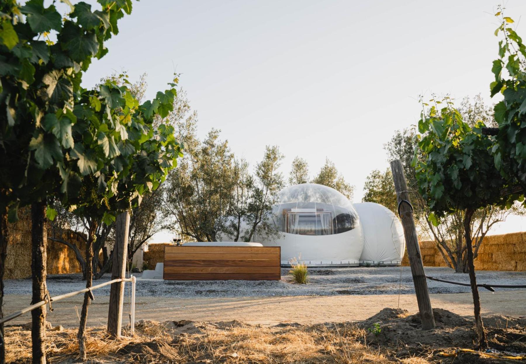 Campera Valle De Guadalupe Hotel Ensenada Luaran gambar